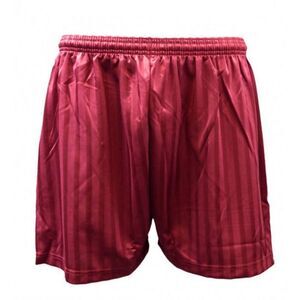 Carta Sport Unisex Adult Seriea Shorts / Maroon
